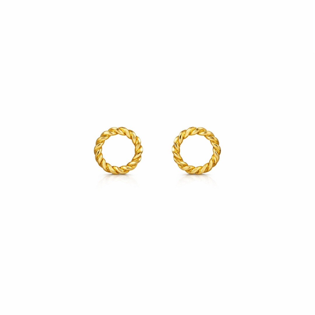 Twisted Rope Circle Earrings